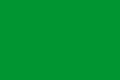 Rectangular green flag