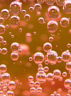 Archivo:Rose champagne infinite bubbles