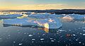 Sailing in the Icefjord