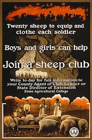 Archivo:Sheep club2