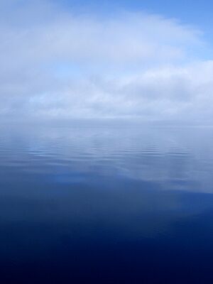 Archivo:St Johns Fog