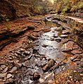 Upper Gorge Trail, Watkins Glen, NY (23909946538)