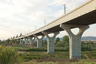 Viaducte de Sant Boi de Llobregat 10.jpg