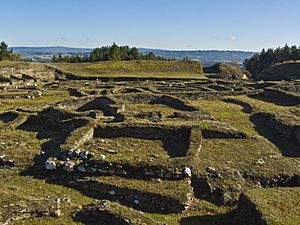 Archivo:Vista xeral da croa Castro de Viladonga