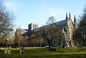 Archivo:Winchester Cathedral - geograph.org.uk - 1736947