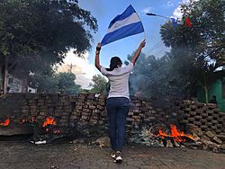 Archivo:2018 Nicaraguan protests - woman and flag