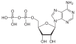 Imagen de la estructura