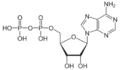 Adenosindiphosphat protoniert