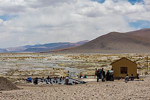 Archivo:Aguas termales, Laguna Salada, Bolivia, 2016-02-02, DD 110