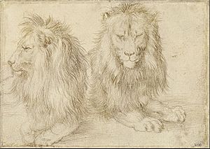 Archivo:Albrecht Dürer - Two seated lions - Google Art Project