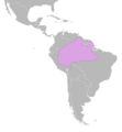 Amazonian pygmy owl range