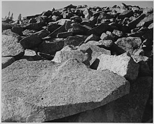 Archivo:Ansel Adams - National Archives 79-AA-M02