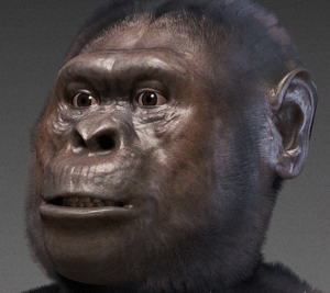 Archivo:Australopithecus afarensis