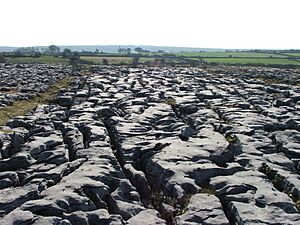 Archivo:Burren carso1