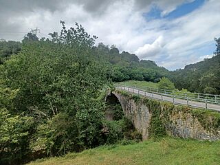 Camino Lebaniego, entre Muñorrodero y Cades 18.jpg