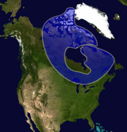 Archivo:Canadianshield
