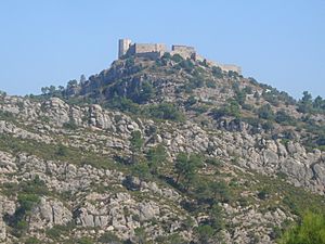 Castell de Claramunt vist des del Xaró.JPG