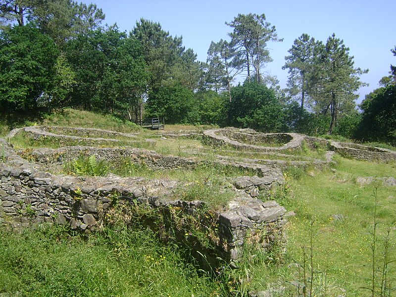 Castrogalego