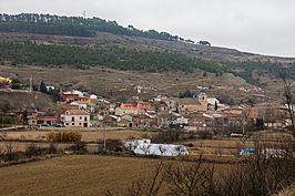 Centenera, Guadalajara, España, 2018-01-04, DD 40.jpg