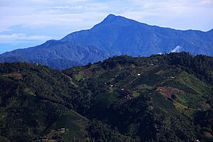Archivo:Cerro punta ACEVEDO