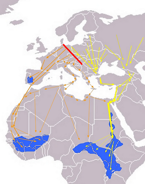 Archivo:Ciconia nigra Eurasian Migration