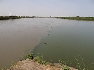 Archivo:Confluence of white and blue Nile (1) (33202184844)