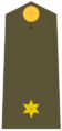 Ejerespadivi16