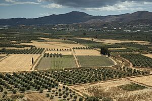 Archivo:Festos - Valley of Messara 2