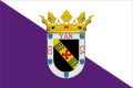 Flag Valencia de Don Juan.svg