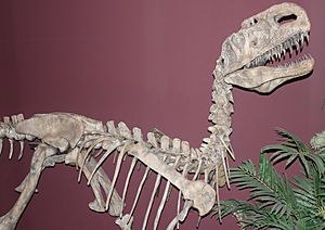 Archivo:Gfp-monophosaurus