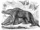Archivo:Goodrich Megalosaurus