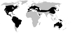 Distribución de Hylidae (en negro)