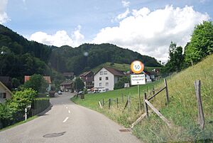 Archivo:Liedertswil 278