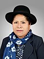 Lily Bernabé Colque. Official portrait, 2020. Chamber of Deputies of Bolivia
