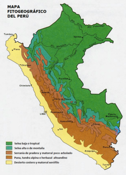 Mapa fitogeográfico del Perú.png