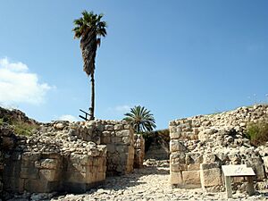 Archivo:Megido City Gate1
