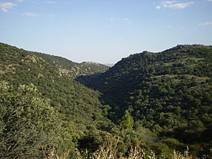 Archivo:Monte de El Gasco