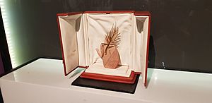 Archivo:Palme D'Or "Viridiana" (1961)