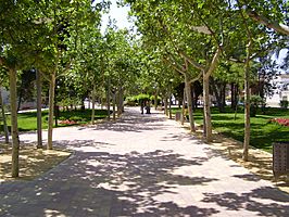 Parque de la Constitución.
