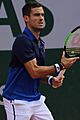 Pella RG19 (2) (48199164037)