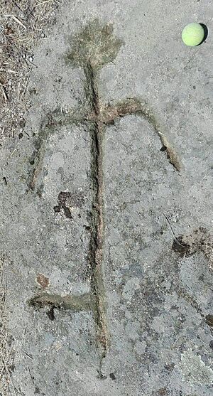 Archivo:Petroglifo Villavieja de Yeltes