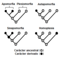 Plesiomorfia