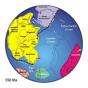 Archivo:Positions of ancient continents, 550 million years ago