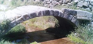 Archivo:Puente junto a la fuente grande