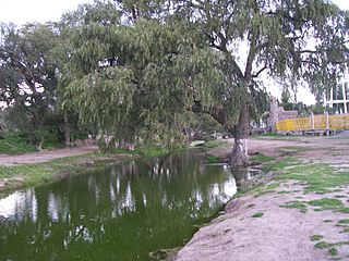 Río Salado, Hueypoxtla (2).jpg