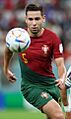 Raphaël Guerreiro WC2022