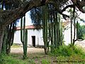 Rosario Micaltepec-011