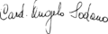 Signature of Angelo Sodano