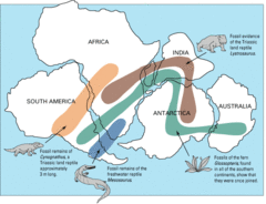Archivo:Snider-Pellegrini Wegener fossil map