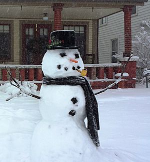 Archivo:Snowman in Indiana 2014